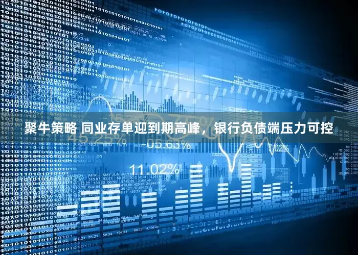 聚牛策略 同业存单迎到期高峰，银行负债端压力可控
