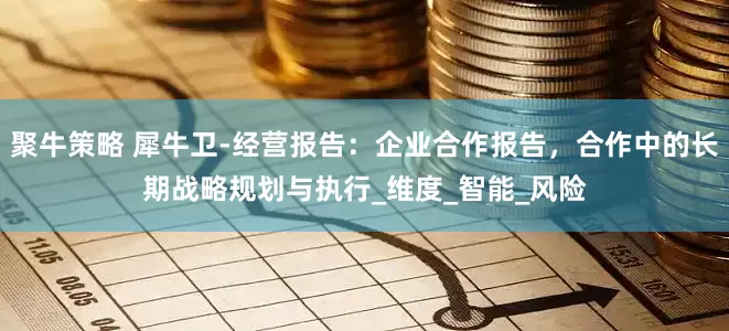聚牛策略 犀牛卫-经营报告：企业合作报告，合作中的长期战略规划与执行_维度_智能_风险