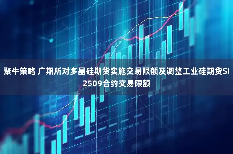 聚牛策略 广期所对多晶硅期货实施交易限额及调整工业硅期货SI2509合约交易限额