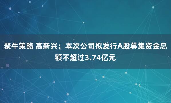 聚牛策略 高新兴：本次公司拟发行A股募集资金总额不超过3.74亿元