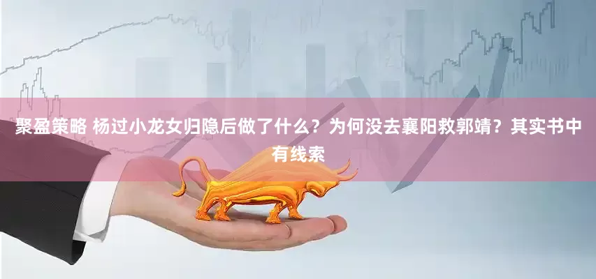 聚盈策略 杨过小龙女归隐后做了什么？为何没去襄阳救郭靖？其实书中有线索
